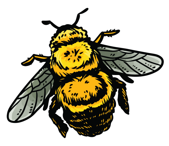 Bee Designs